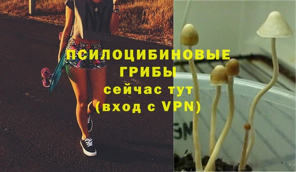 герыч Алексеевка
